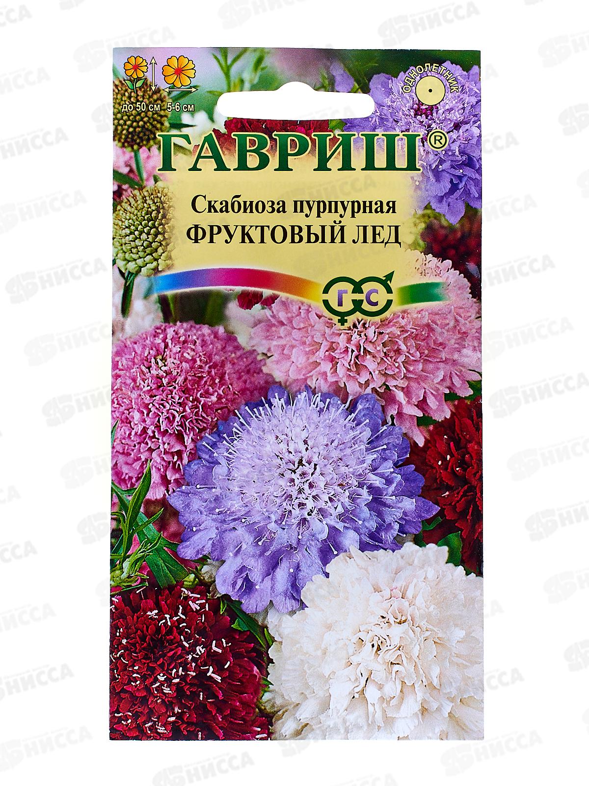 Скабиоза пурпурная Фруктовый лед махровая смесь 0,3 грамма  Н12  *10 ГШ
