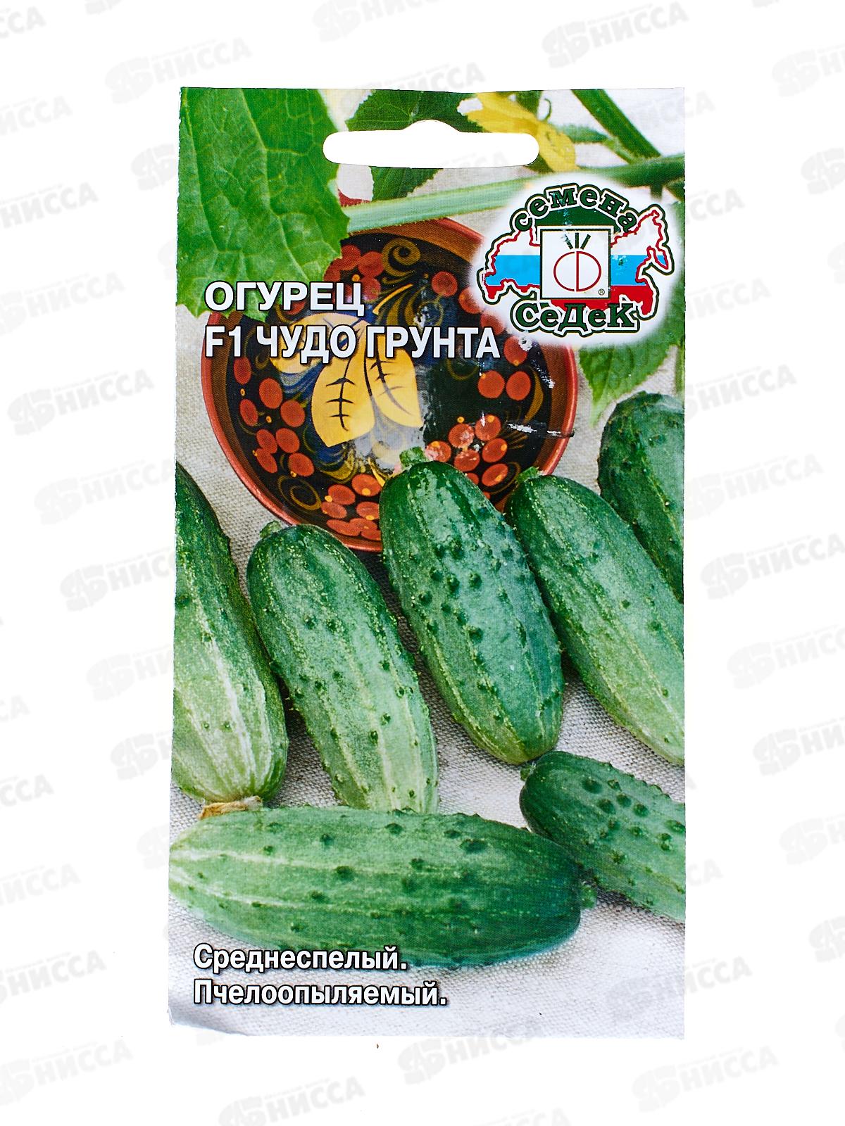 Огурец Чудо Грунта F1(Евро,0,3) СеДек
