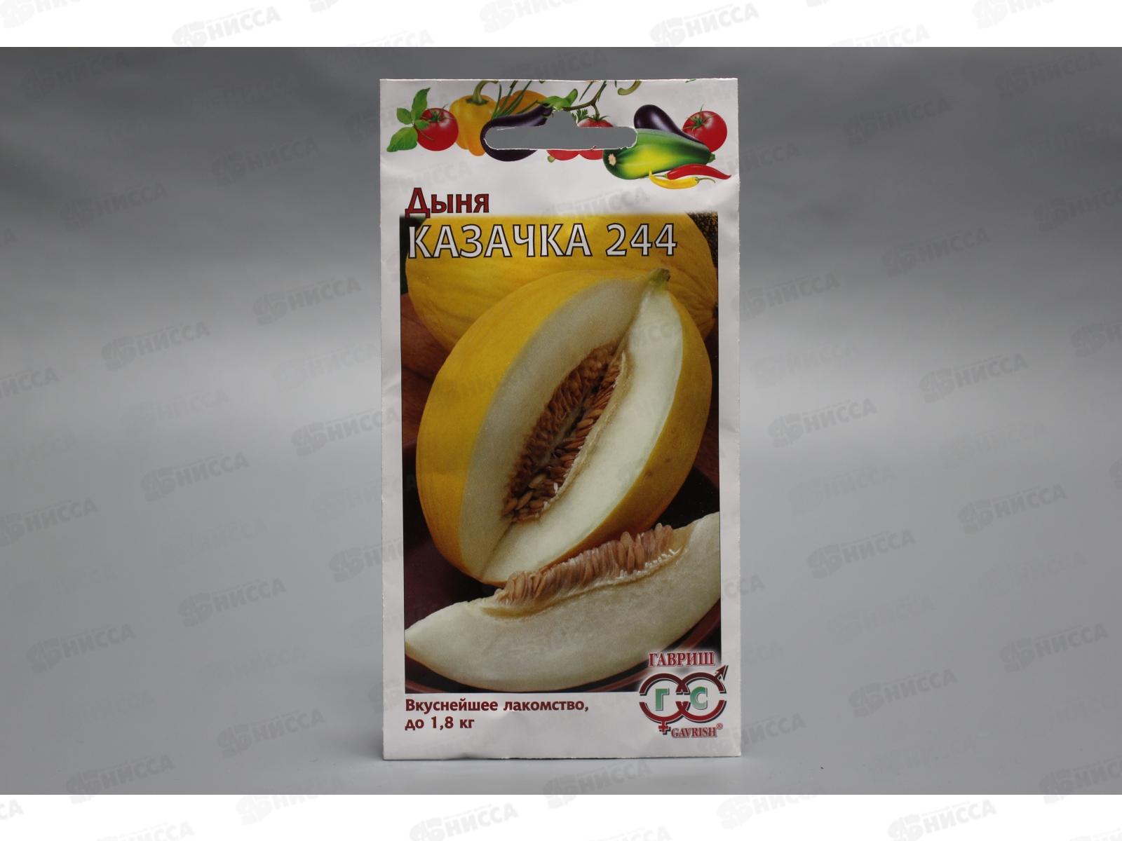 Дыня Казачка 244 1 грамм  *10 ГШ