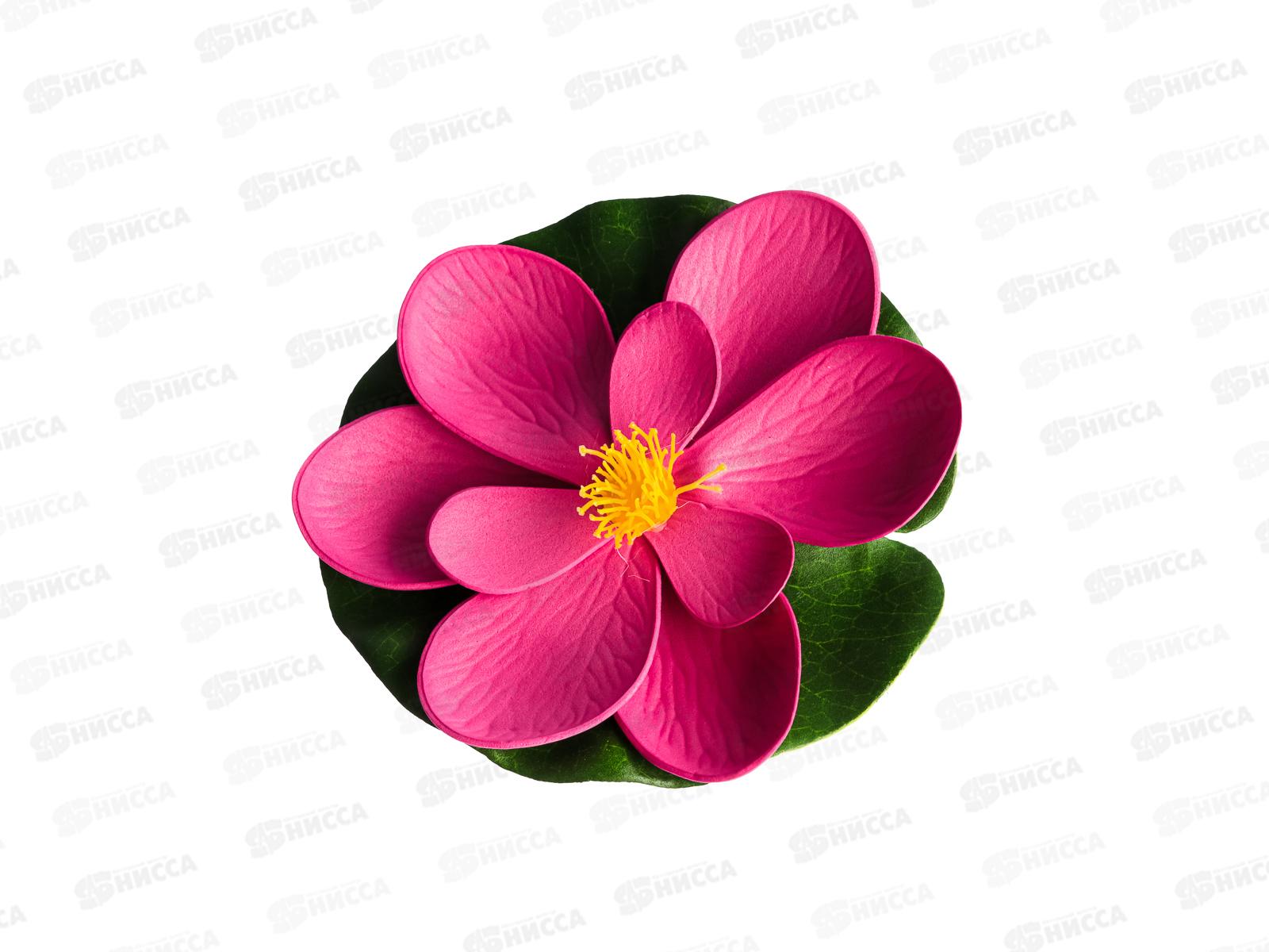 Лилия декорированная для пруда 15см   г