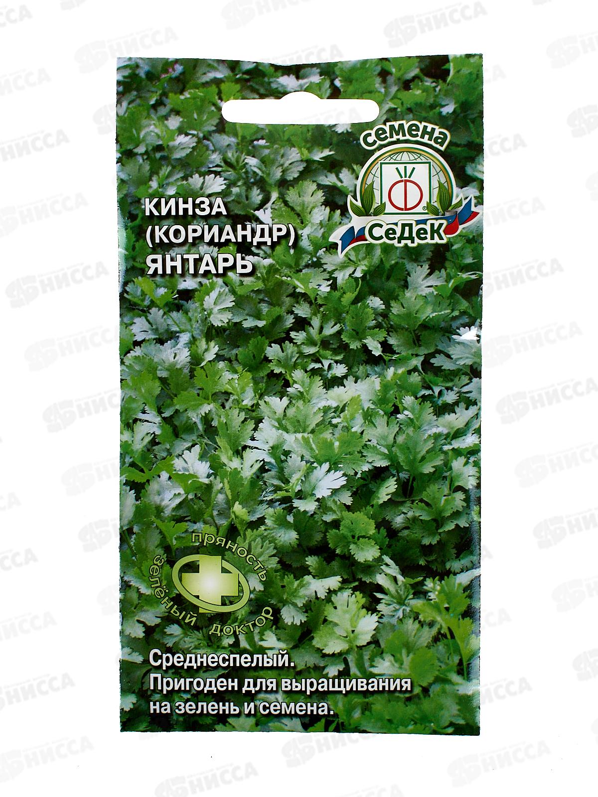 Кориандр Янтарь (Евро, 2) СеДек +