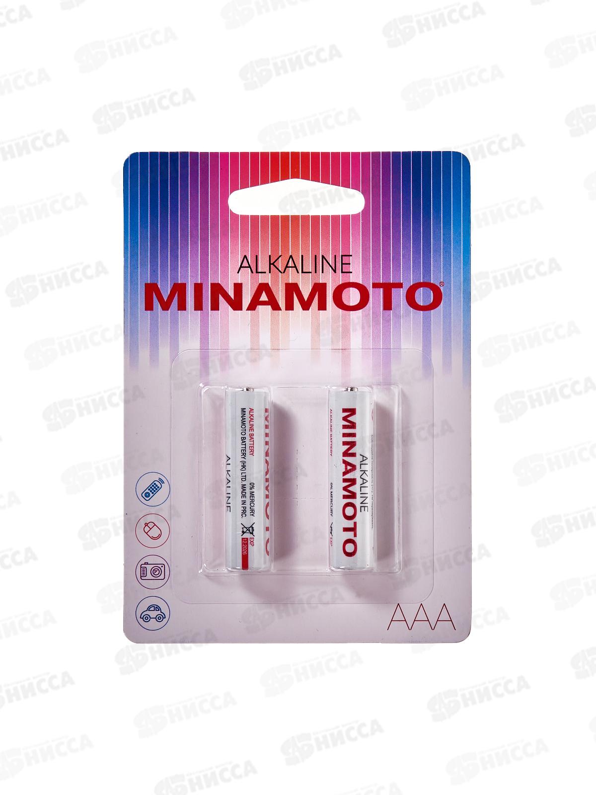 Батарейки МИНАМОТО LR03 BP-2 *2/24/288