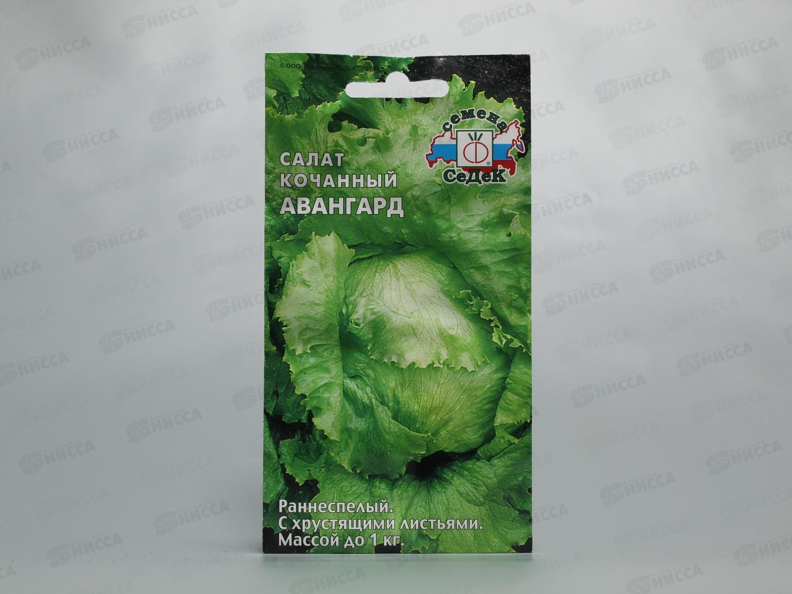 Салат Авангард (айсберг) (Евро, 0,5  5793) СеДек