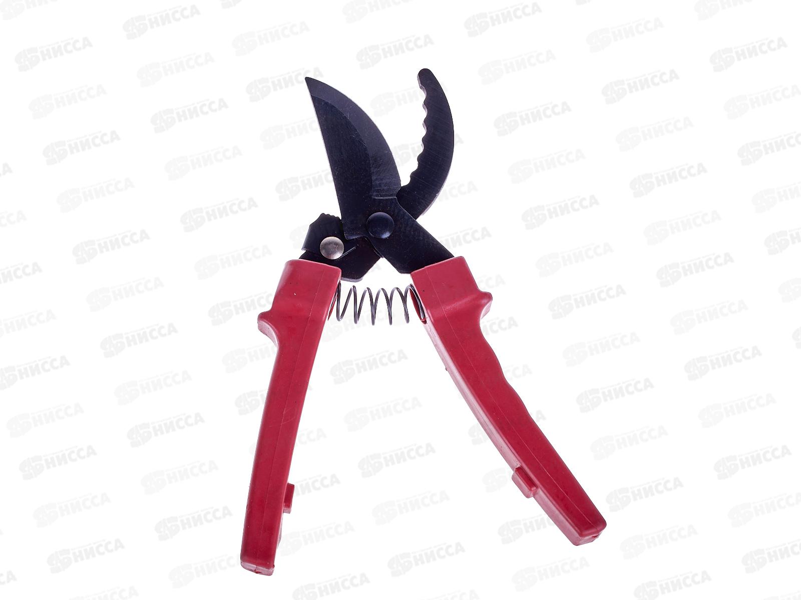 Секатор (023786) *100  Ж