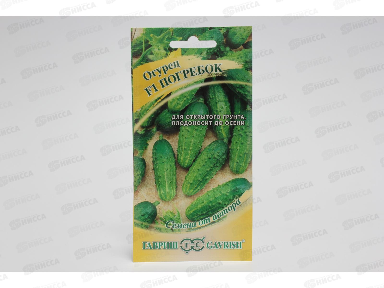 Огурец Погребок 10 штук  Семена от автора  *10 ГШ