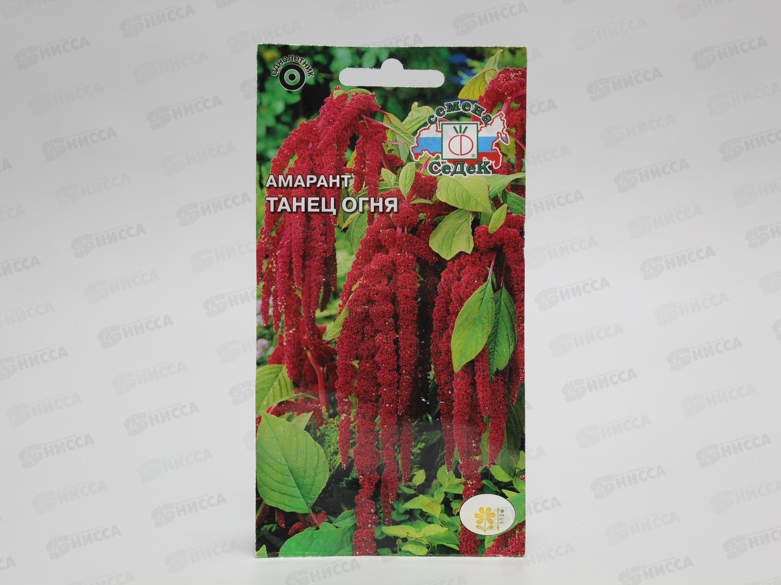 Амарант Танец огня (хвостатый) (Евро, 0,1) СеДек