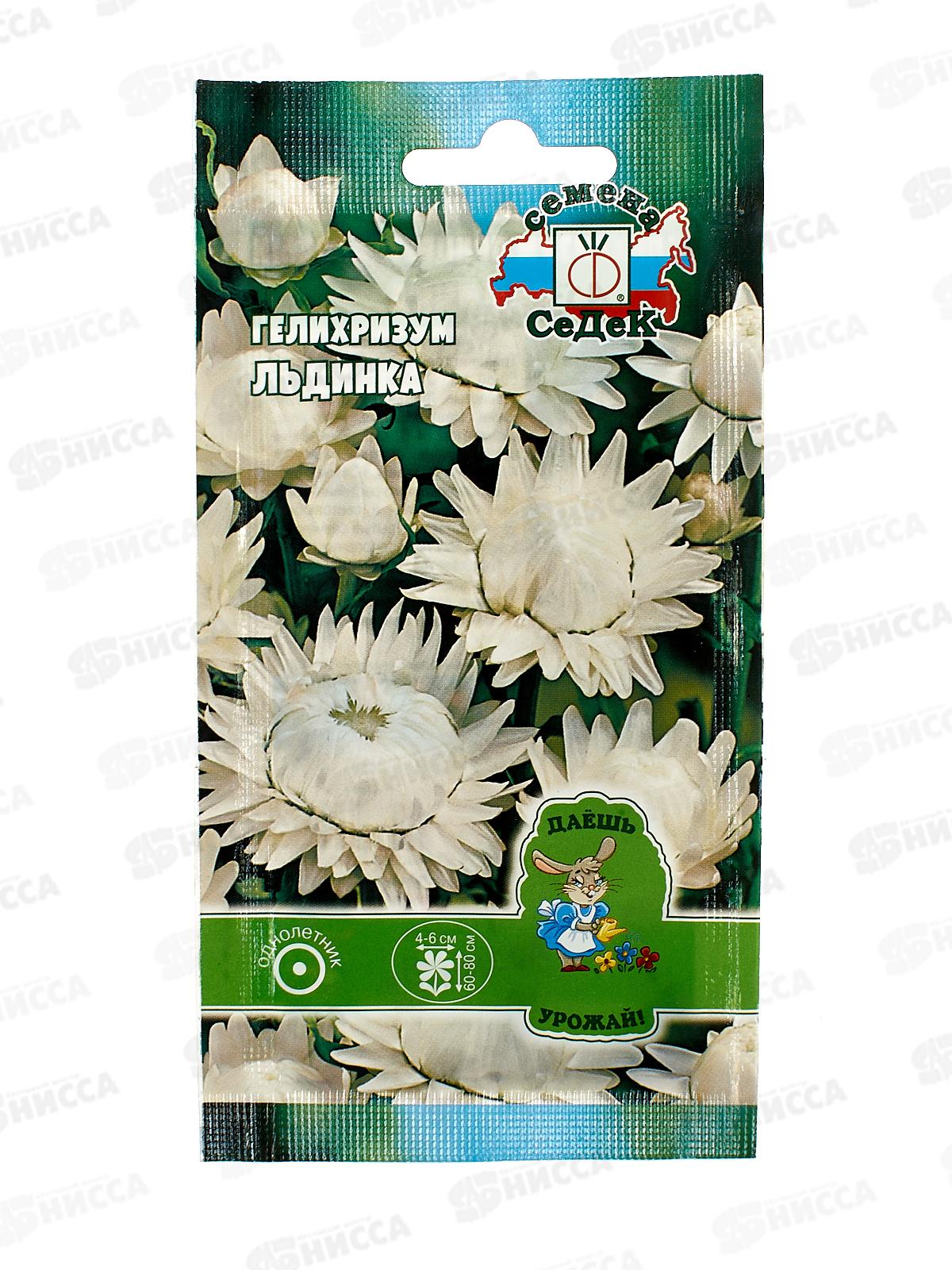 Гелихризум Льдинка (белый) (Евро) СеДек +