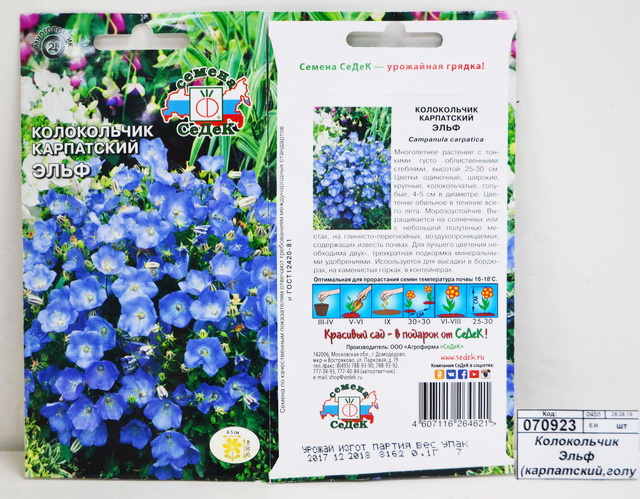 Колокольчик Эльф (карпатский,голубой) (Евро, 0,1) СеДек