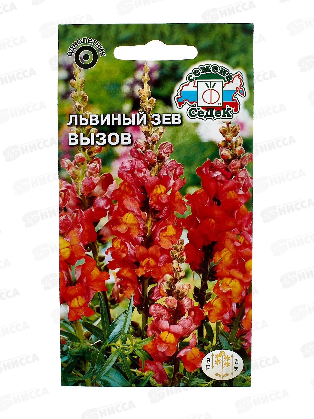 Львиный зев Вызов (высокий,красно-оранжевый) (Евро) СеДек *10 +