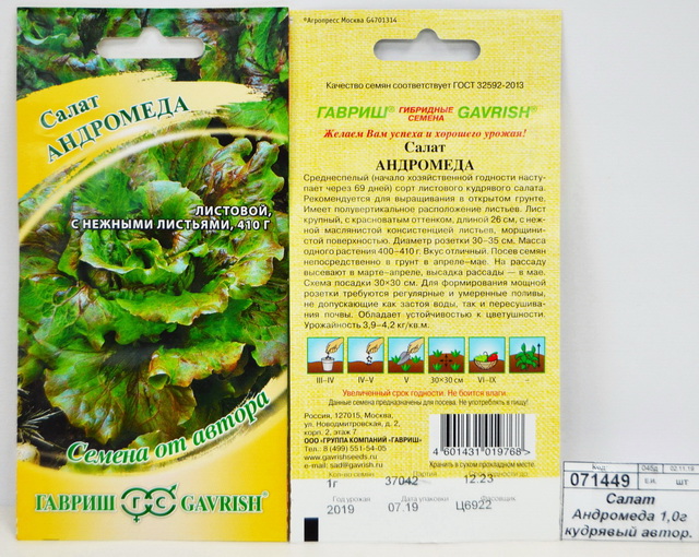 Салат Андромеда 0,5 грамм  кудрявый Семена от автора Н9  *10 ГШ