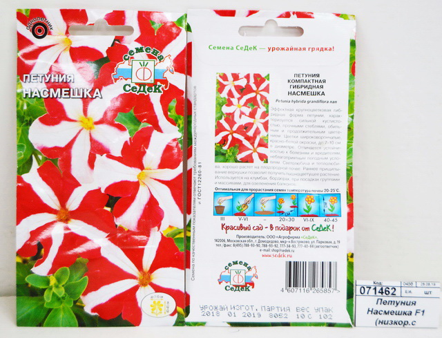 Петуния Насмешка F1 (низкорослая с фигурным красно-белым узором) (Евро, 10)СеДек +