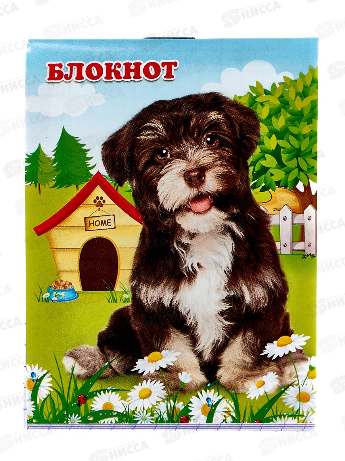 Блокнот 16листов ПГС Собаки, 70*90 *24