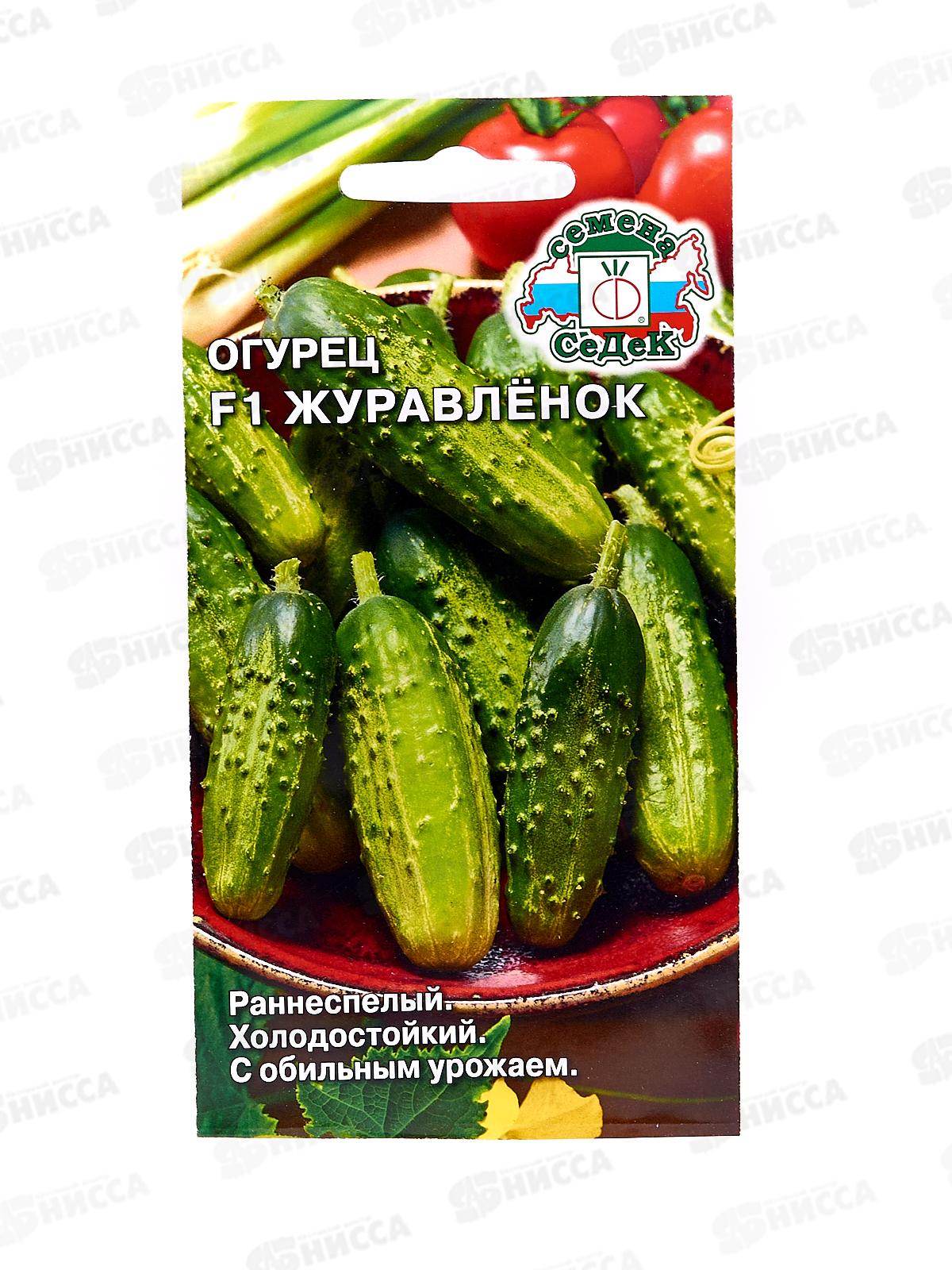 Огурец Журавленок F1 (Евро,0,3  8572) СеДек