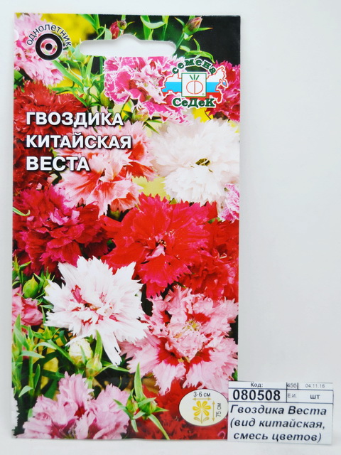 Гвоздика Веста (вид китайская, смесь цветов) (Евро 0,25) СеДек до 12.19
