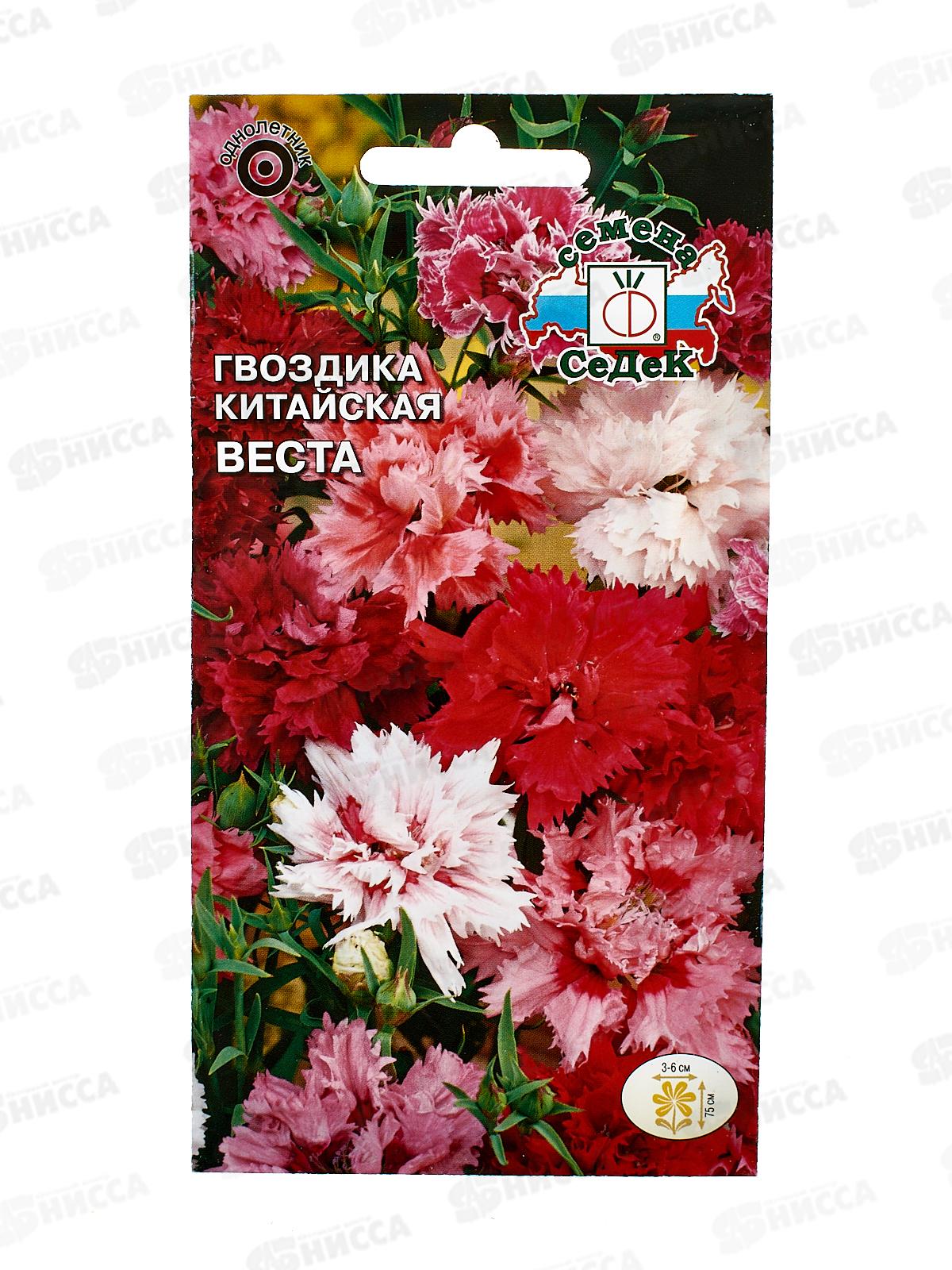 Гвоздика Веста (вид китайская, смесь цветов) (Евро 0,25) СеДек +