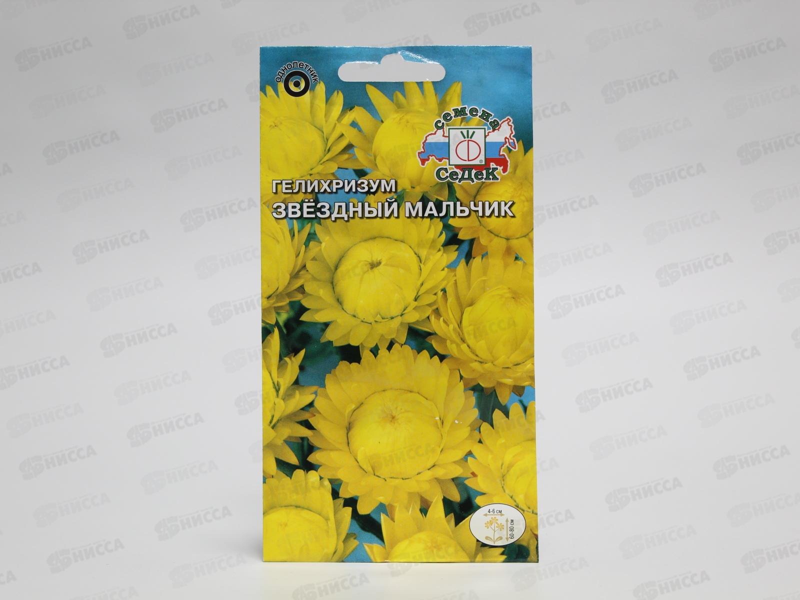 Гелихризум Звездный мальчик (желтый) (Евро, 0,2) *10 СеДек