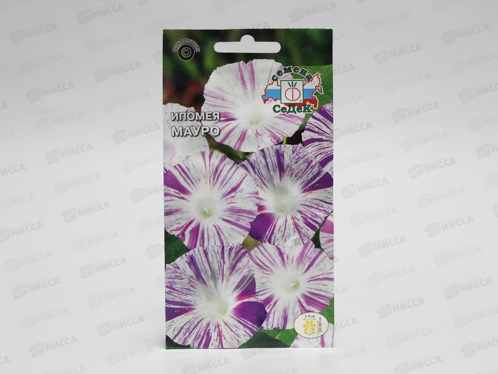 Ипомея Мауро (тип пурпурная, белая с малиновыми штрихами) (Евро) СеДек +
