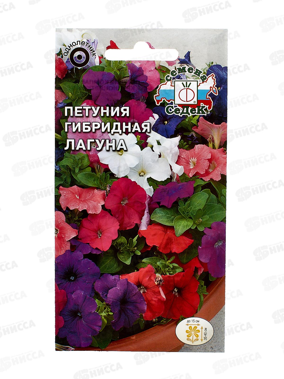 Петуния Лагуна (ампельная, смесь цветов) (Евро 0,1) СеДек +