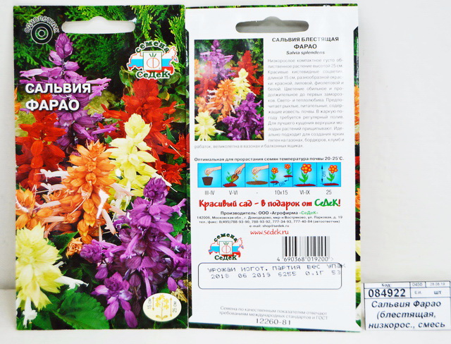 Сальвия Фарао (блестящая, низкорослая, смесь цветов) (Евро, 0,1) СеДек