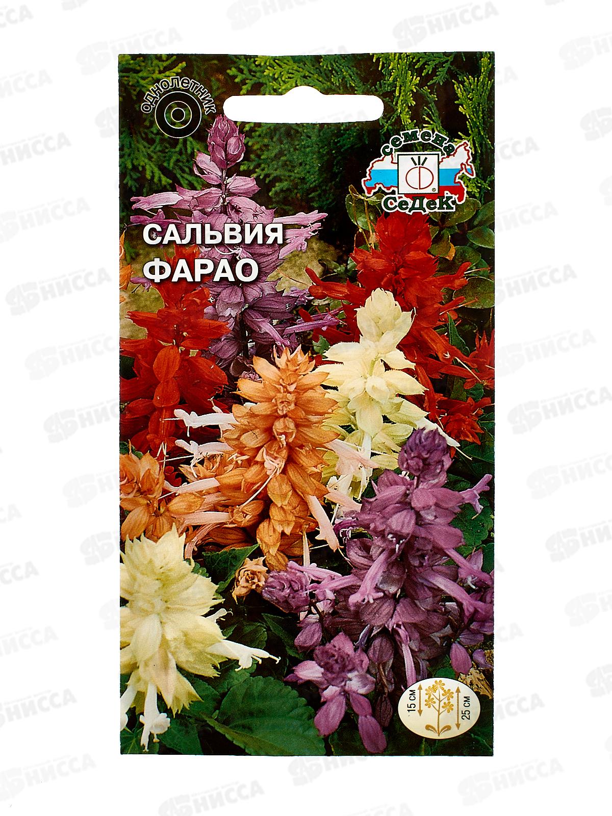 Сальвия Фарао (блестящая, низкорослая, смесь цветов) (Евро, 0,1) СеДек +