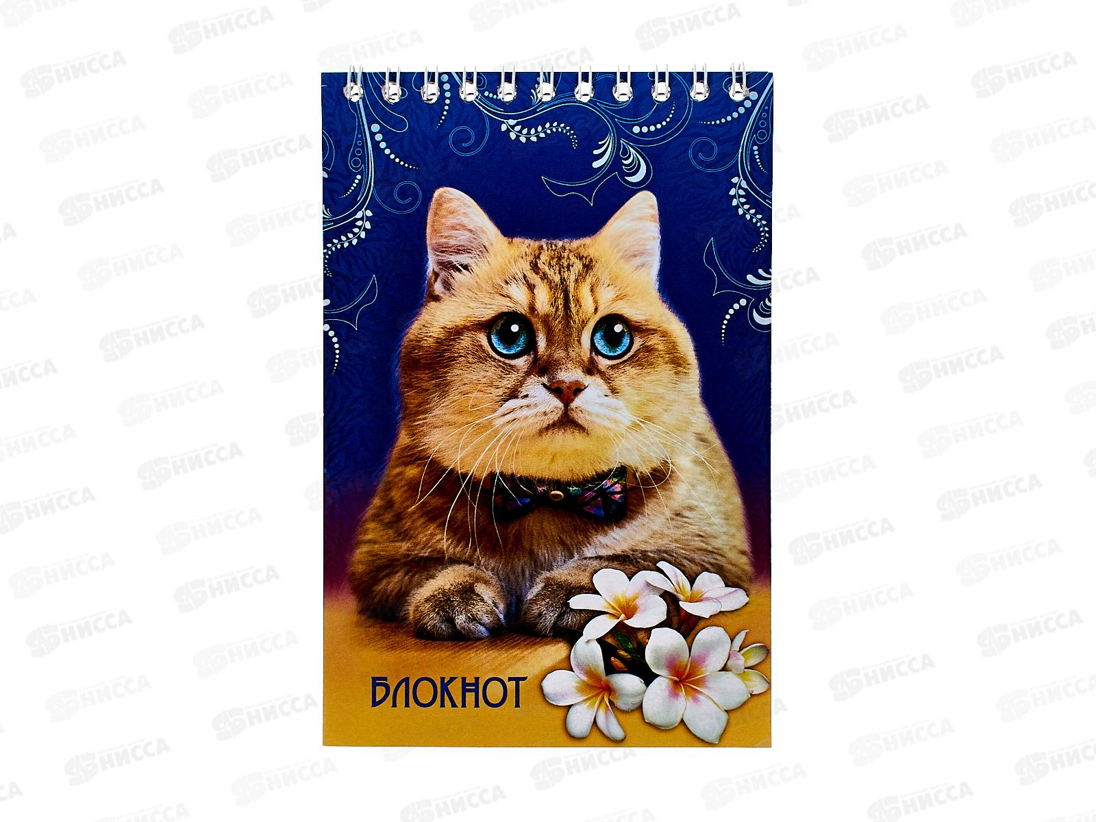 Блокнот 48листов ПГС Кошки, 100*150, на  гребне. *12