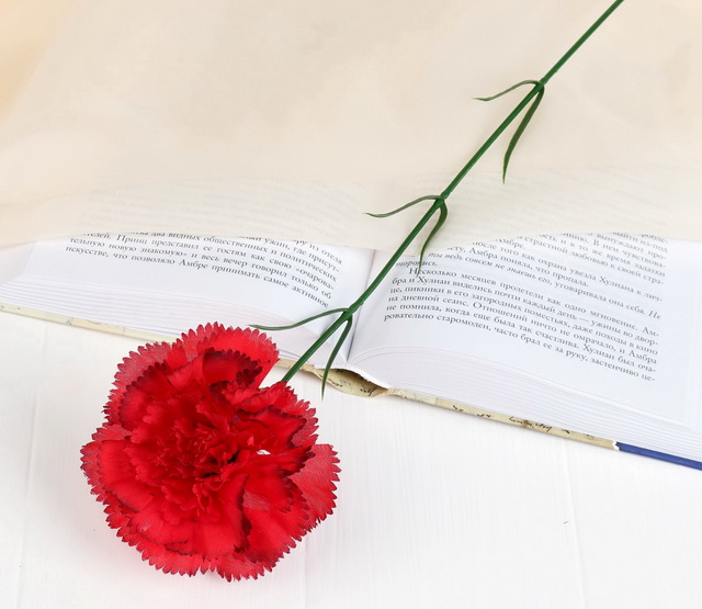 Цветы искусственные 40см гвоздика красная с кантом 183277 *10