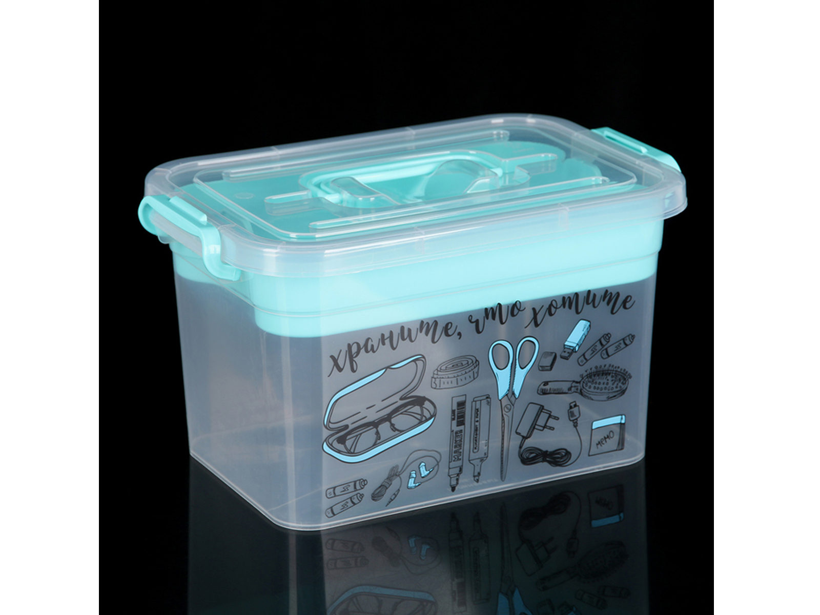 Контейнер "ВАЖНЫЕ МЕЛОЧИ"для хранения  6,5л с вкладышем 310*200*180 С80902 *6