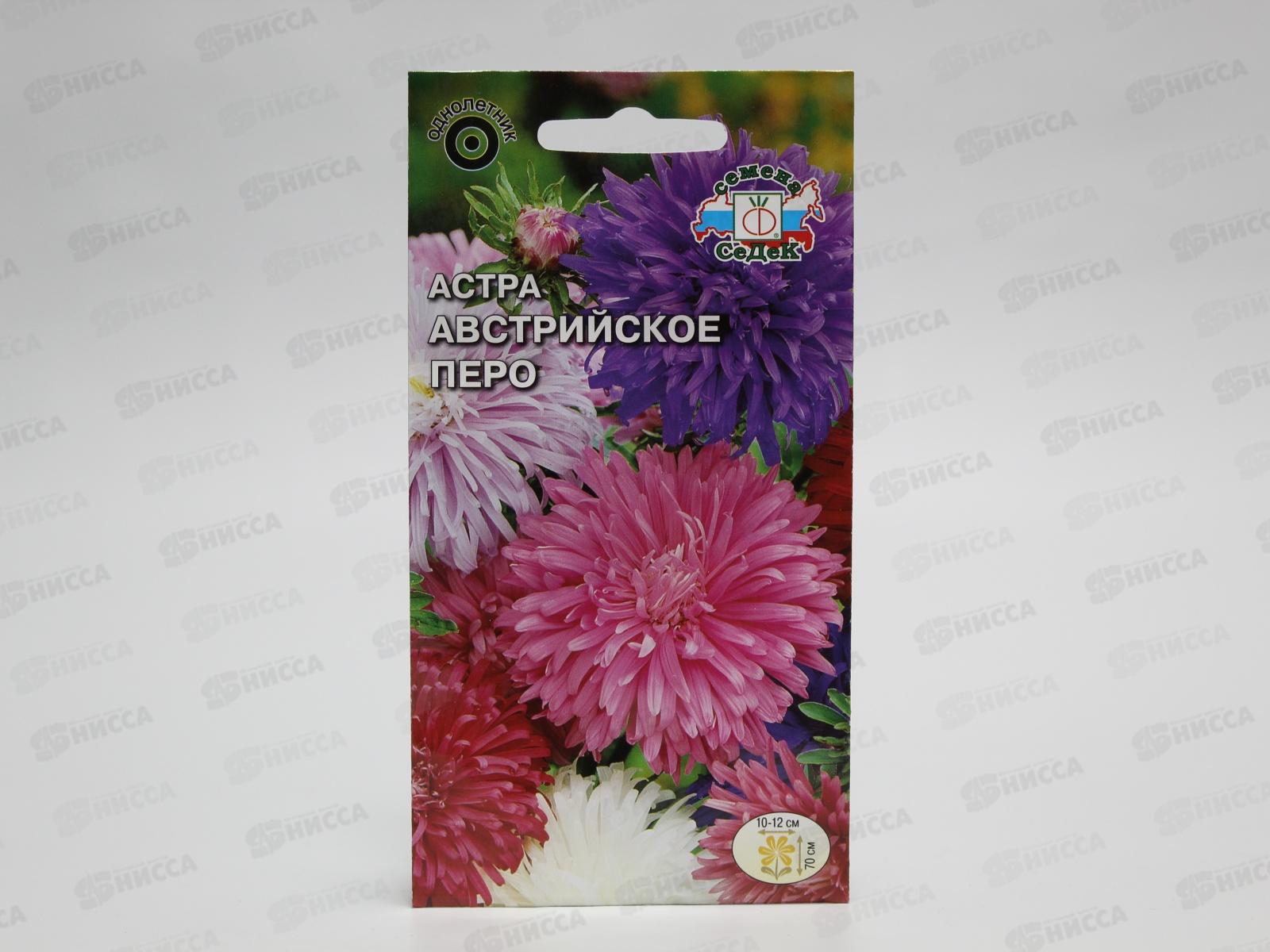 Астра Австрийское перо (Евро, 0,25) СеДек *10