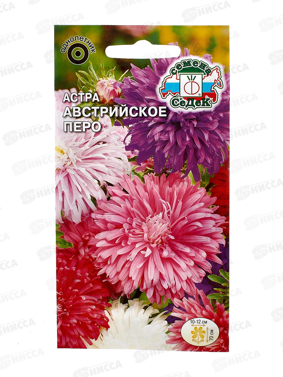 Астра Австрийское перо (Евро, 0,25) СеДек *10 +