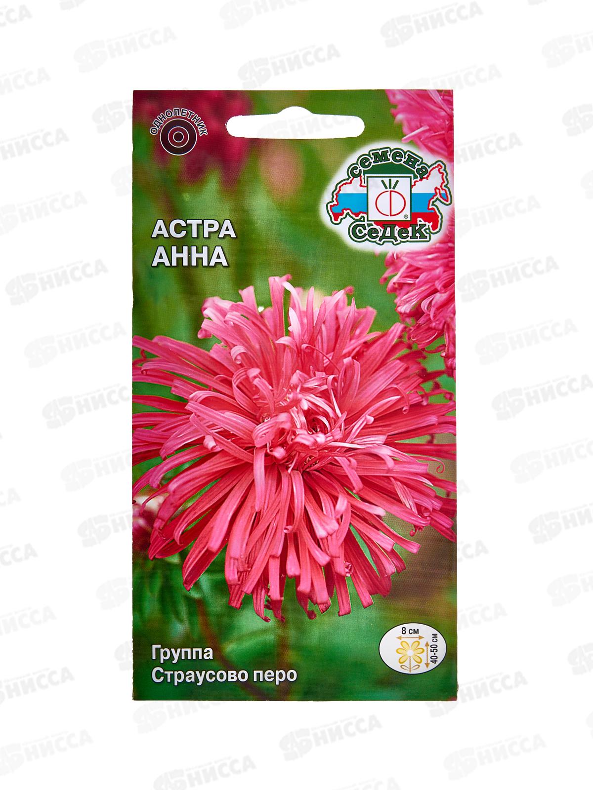 Астра Анна (страусовое перо красная) (Евро, 0,2) СеДек *10 +