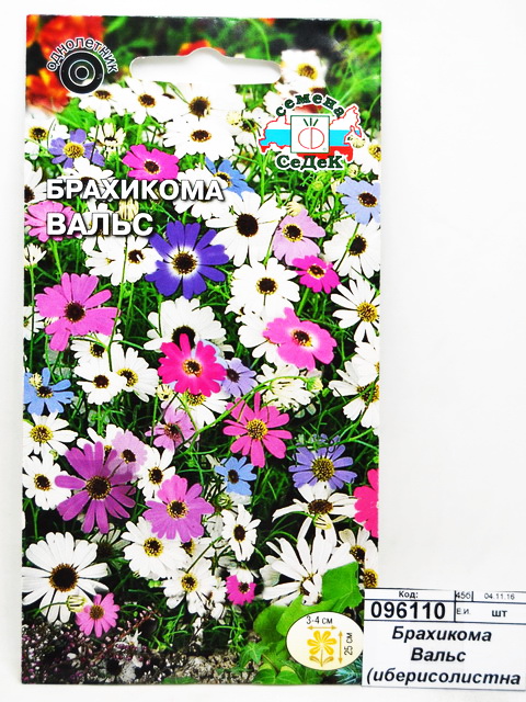 Брахикома Вальс  (иберисолистная, смесь) (Евро, 0,1) СеДек