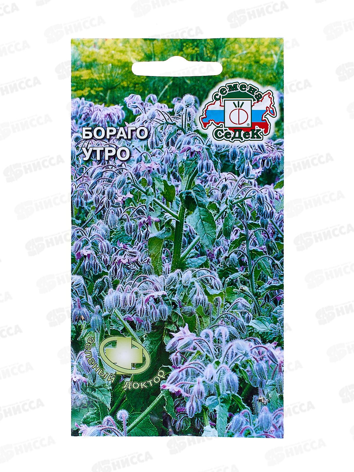Бораго Утро (огуречная трава, сиреневый) (Евро , 0,5) СеДеК *10