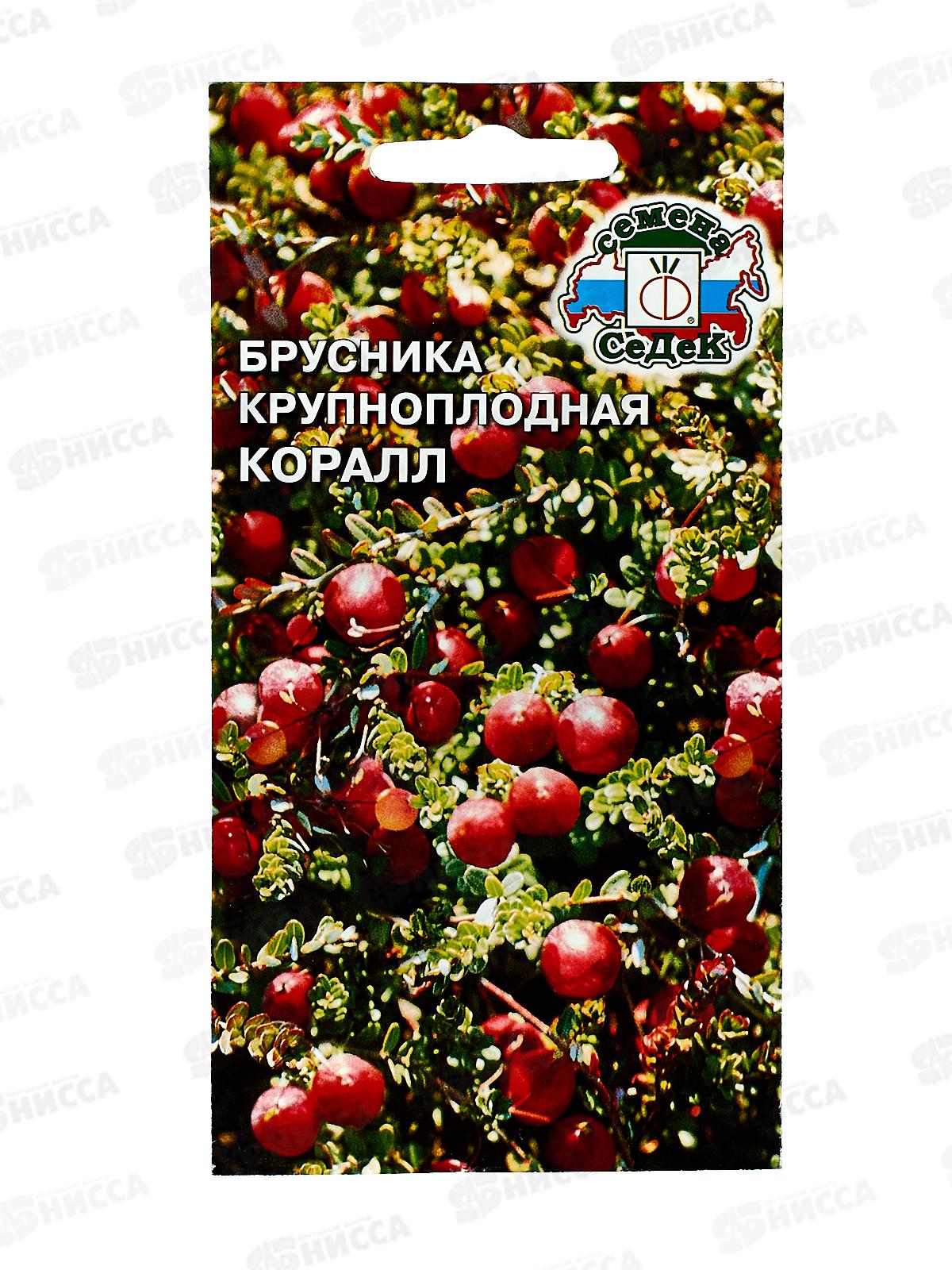 Брусника крупноплодная Коралл (Евро , 0,05) СеДеК СРОК ДО 12.25 *10