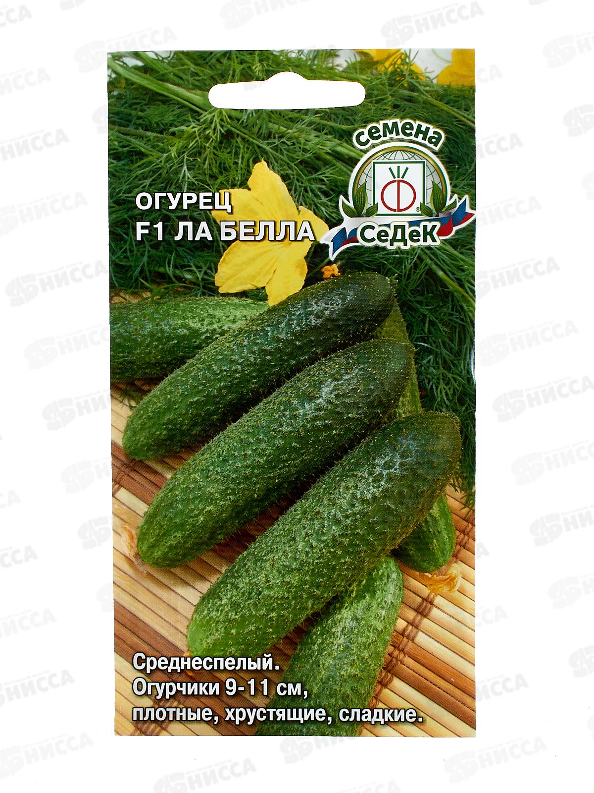 Огурец Ла Бэлла F1 закрытый грунт   (Евро, 0,3) СеДек +