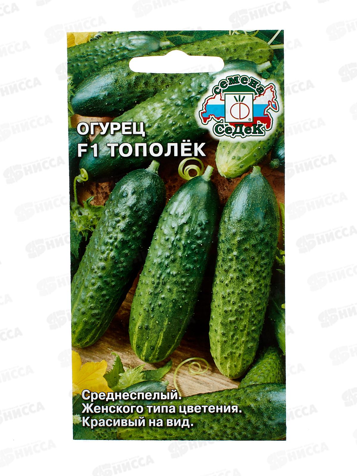 Огурец Тополёк F1 (Евро , 0,3) СеДек +