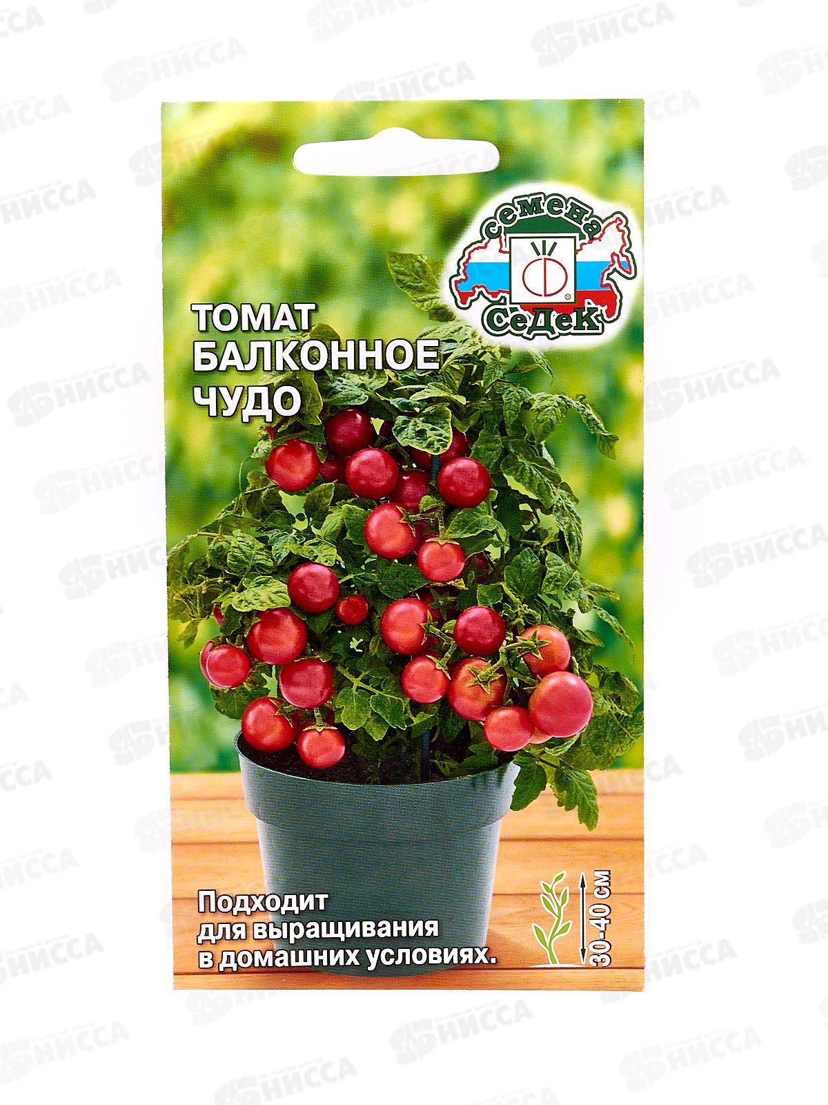 Томат Балконное Чудо закрытый грунт (Евро , 0,1, ) СеДек