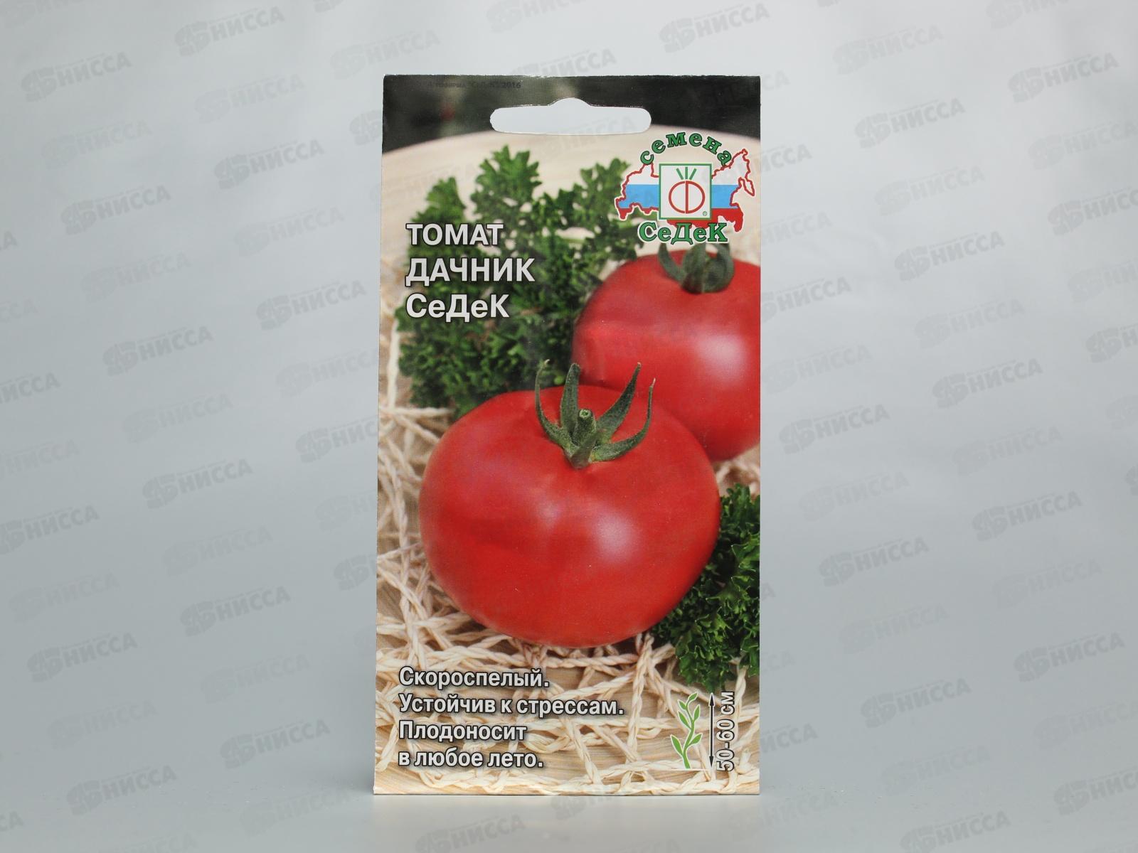 Томат Дачник  закрытый грунт (Евро, 0,1) СеДек
