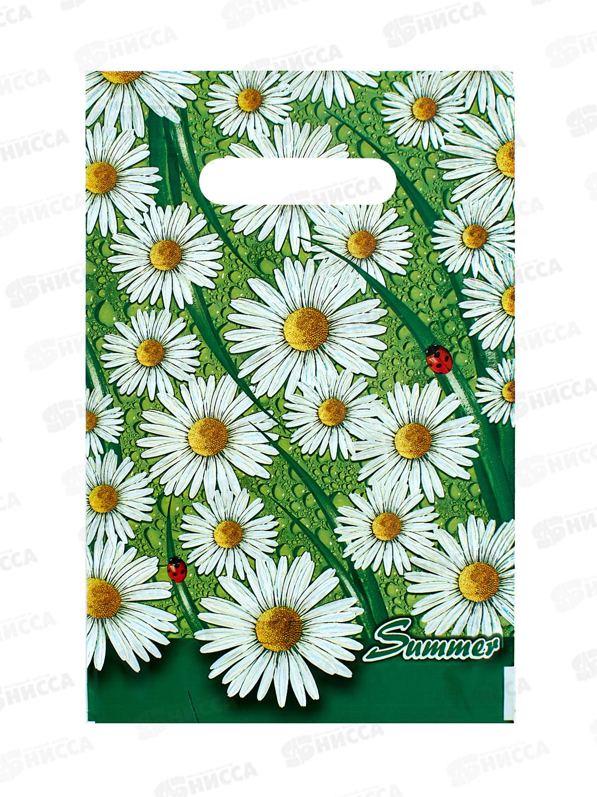 Пакет пробивной 20*30 Лето МЕЛКИЙ*100/2000