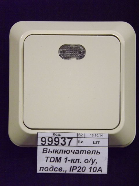 Выключатель TDM 1-кл. о/у, подсв., IP20 10А сл.кость, &quotЛадога&quot, 0010