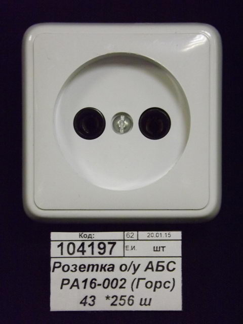 Розетка открытой установки  АБС   РА16-002 (Горс) 43  *256 ш