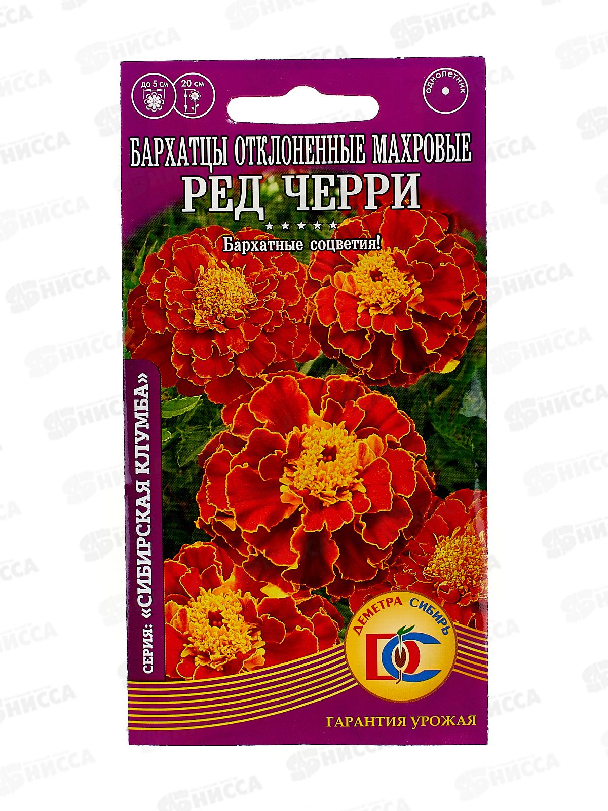 Бархатцы Ред Черри отклоненные махровые (0,2гр) ДемСиб *10 +