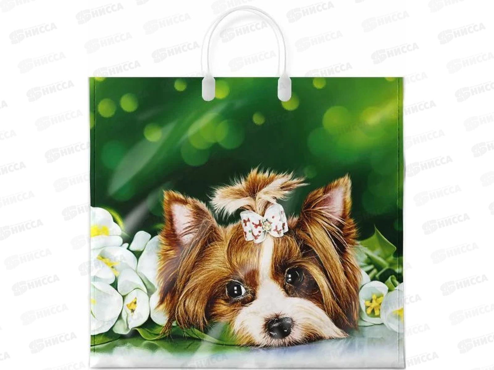 Пакет с пластиковой ручкой 38*35 Шарлотта *10/100