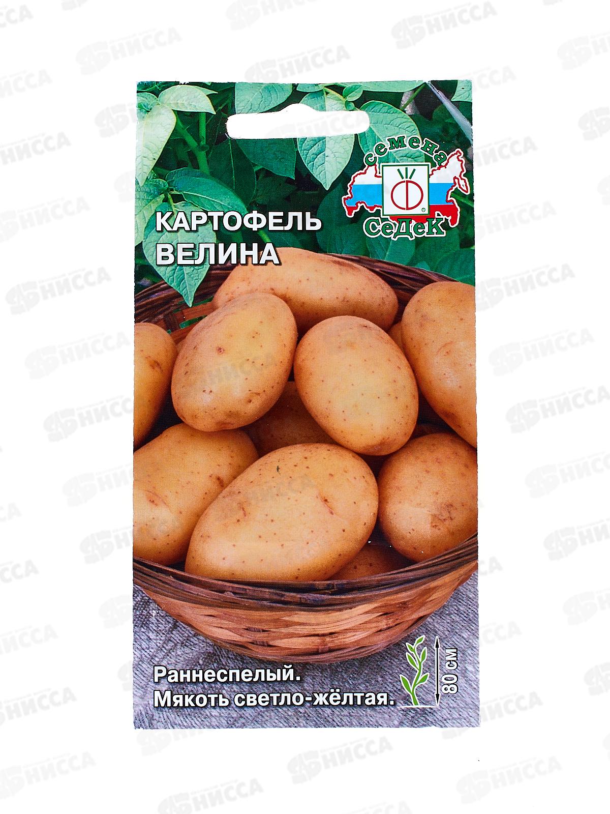 Картофель Велина (Евро, 0,02) СеДек