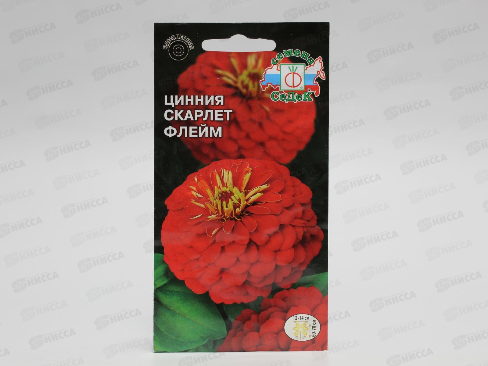 Цинния Скарлет флейм (георгиновидная, огненно-красная) (Евро, 0,5) СеДек *10 +