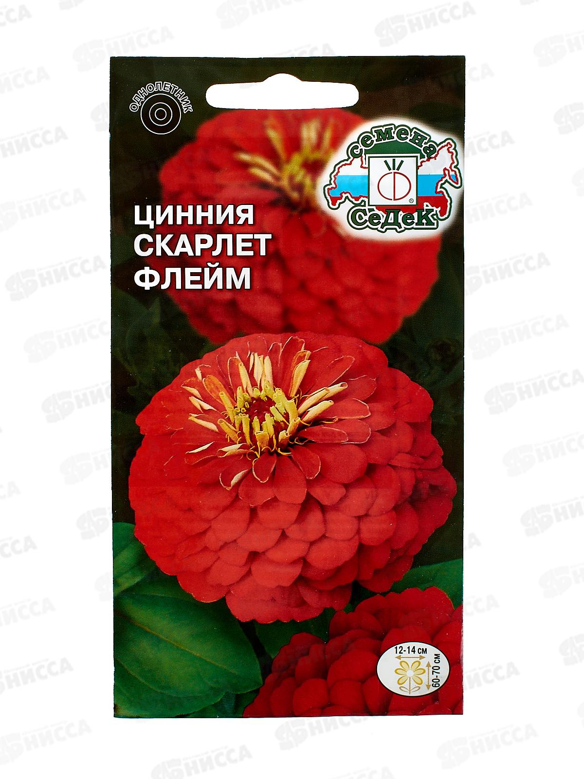 Цинния Скарлет флейм (георгиновидная, огненно-красная) (Евро, 0,5) СеДек *10 +