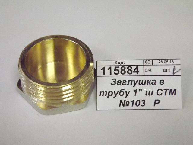 Заглушка в трубу 1&quot штуцер СТМ *10/200