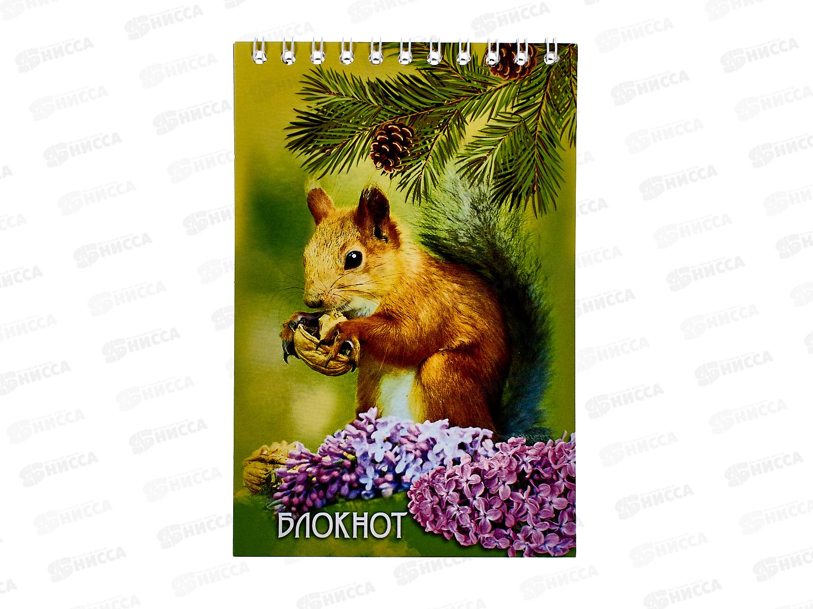 Блокнот 48листов ПГС Животный мир, 100*150,на гребне. *12