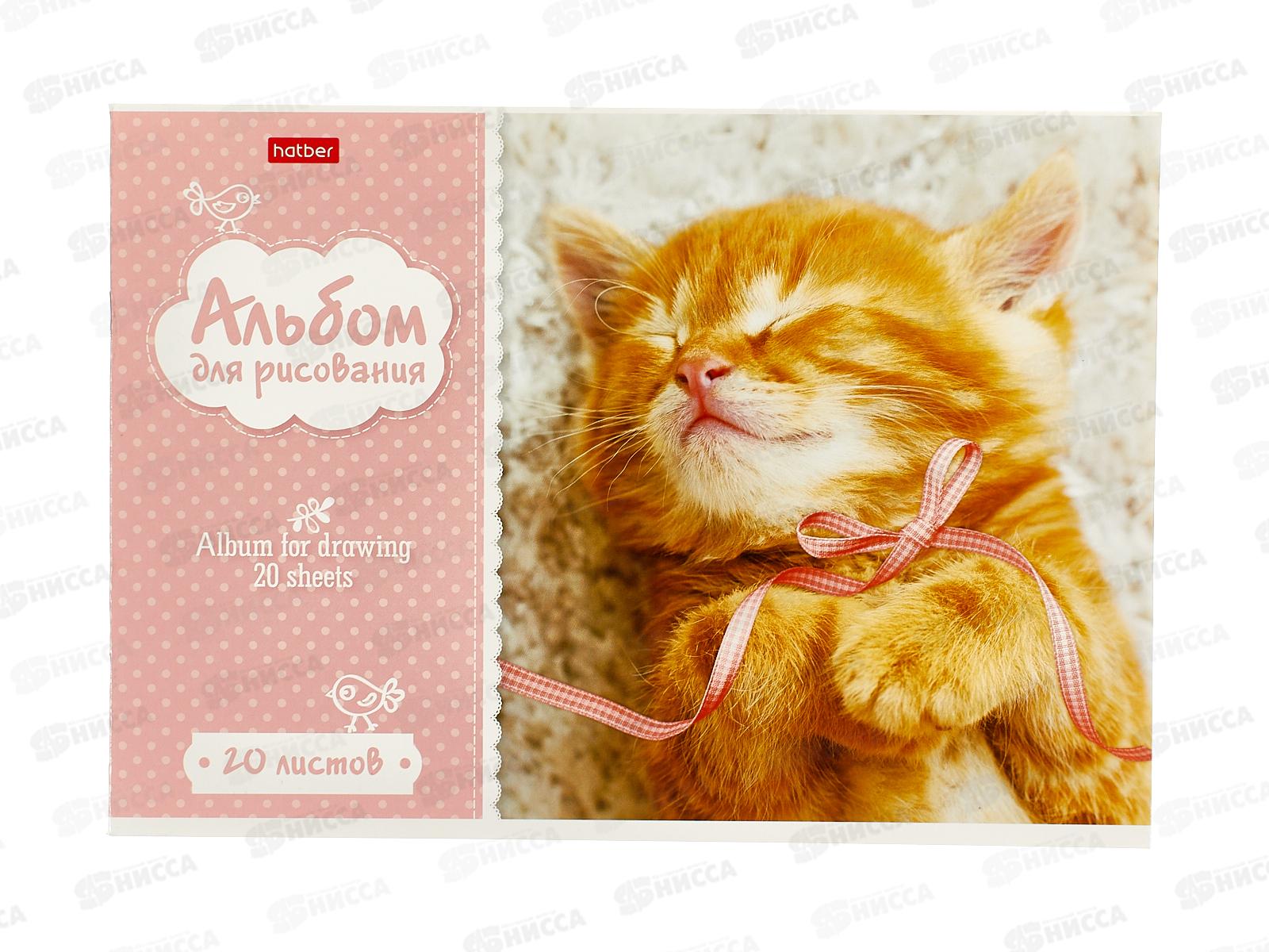 Альбом для рисования 20 листов Hatber Котята, мелованный *12*60