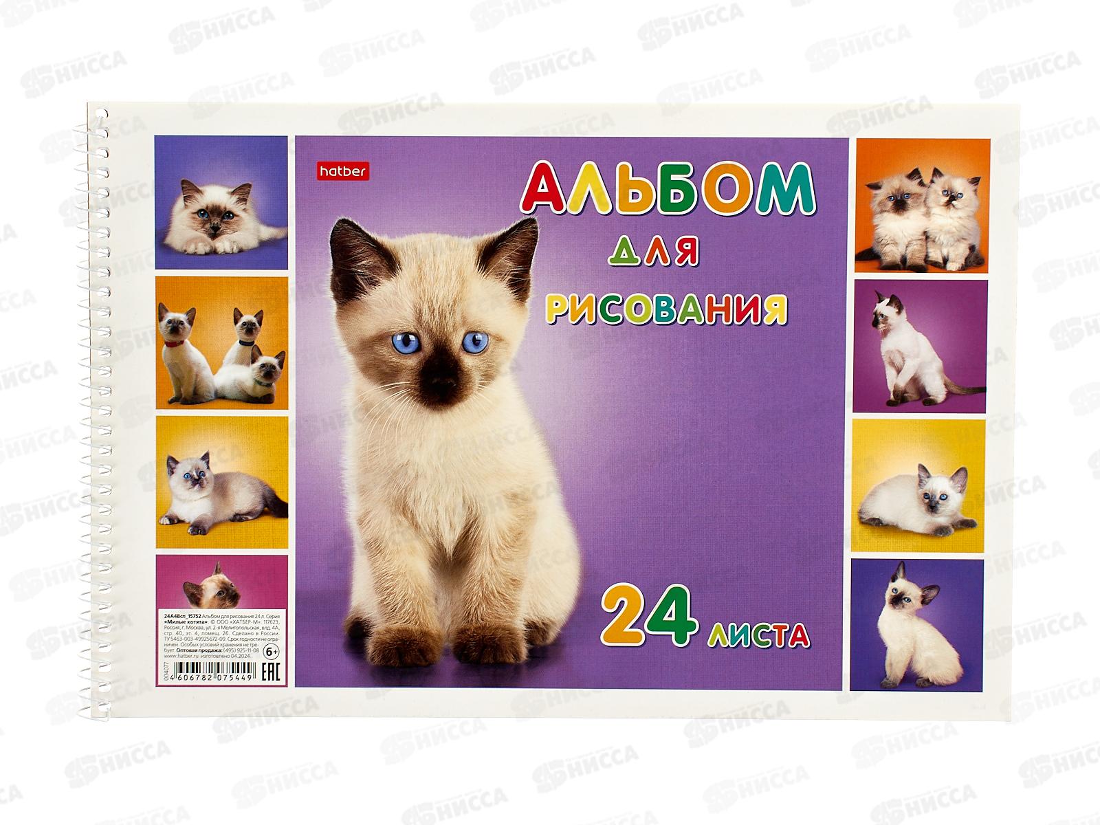Альбом для рисования 24 листов  Hatber Милые котята, мелованный, на гребне, 406 *5/50