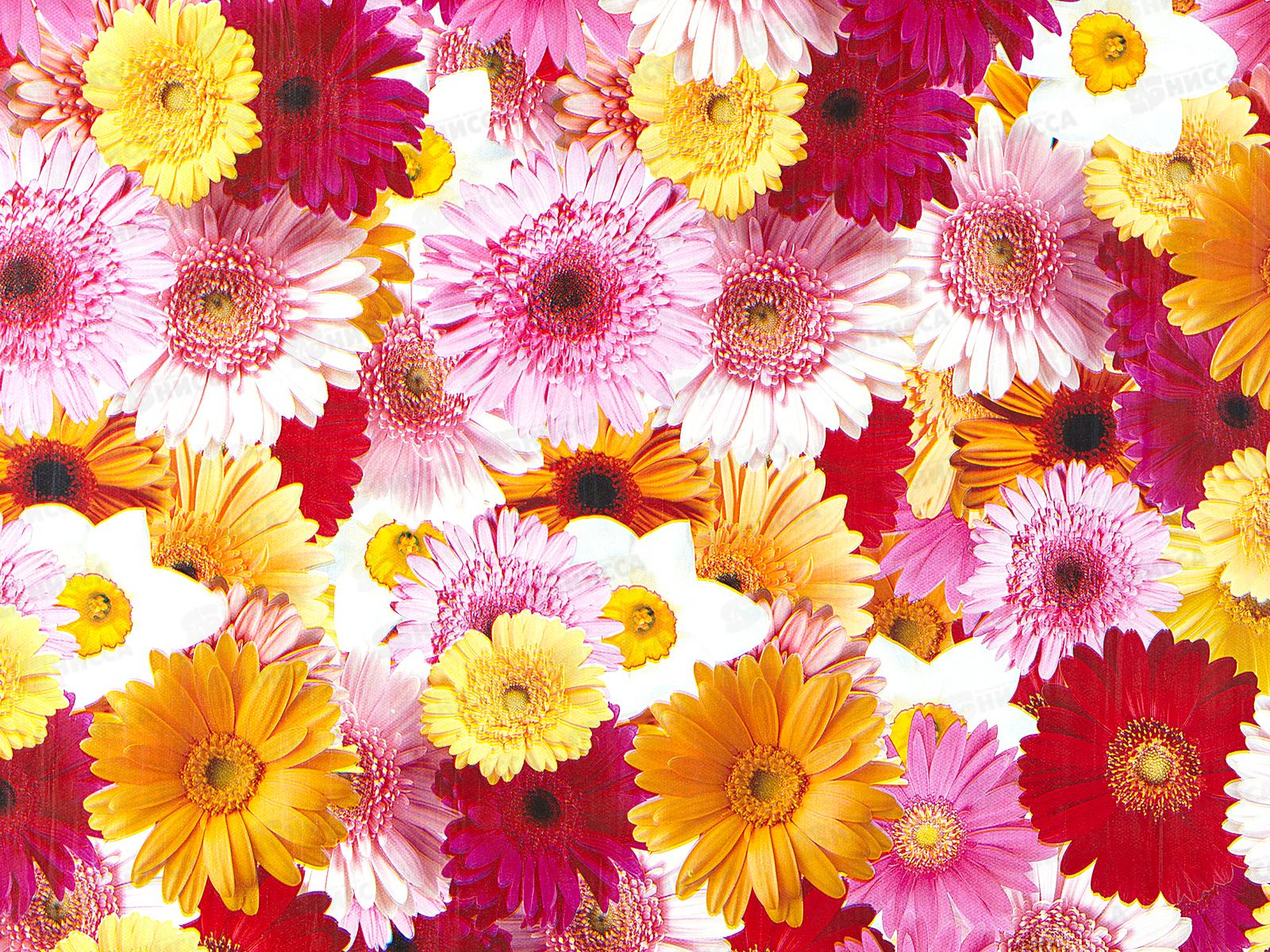 Клеенка на тканевой основе Колорит Арт. 170-7 25м